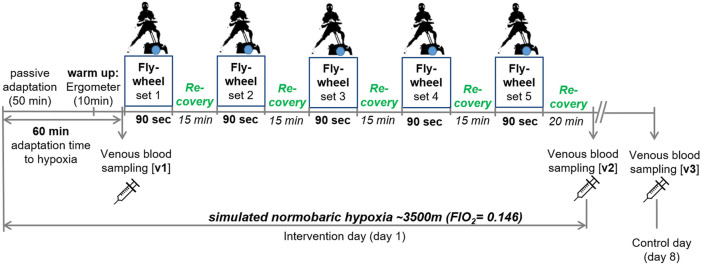 FIGURE 1