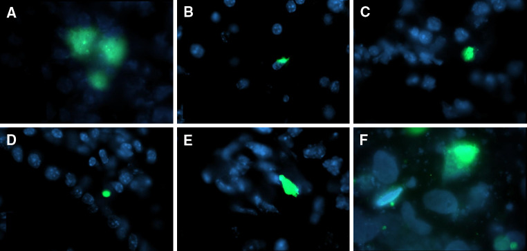 Fig. 3