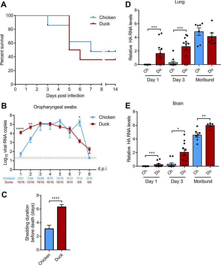 FIG 2