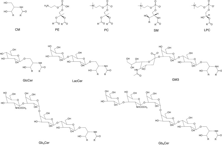 FIG. 3.