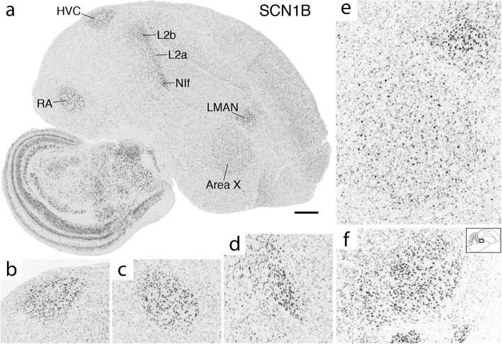 Fig. 11