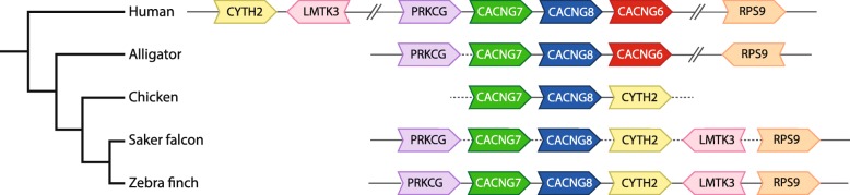 Fig. 3