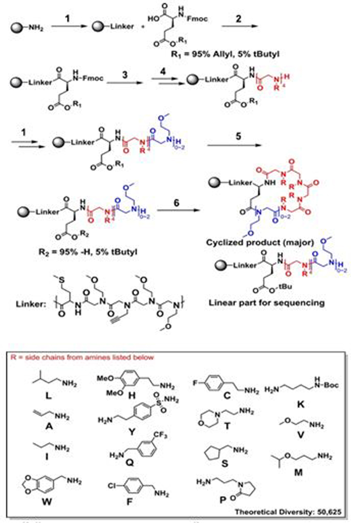 Scheme 1.