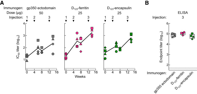 Figure 5