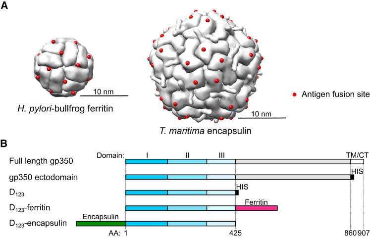 Figure 1