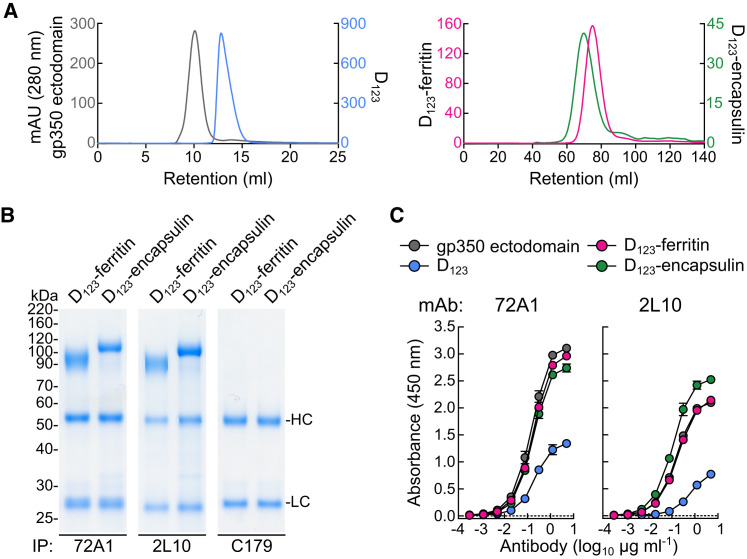 Figure 2