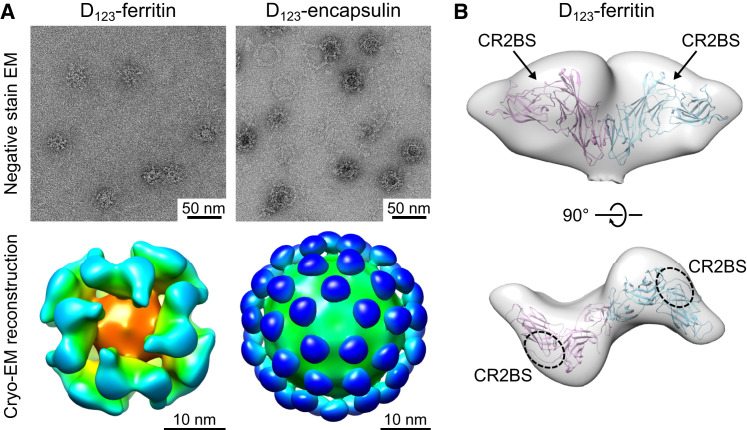 Figure 3