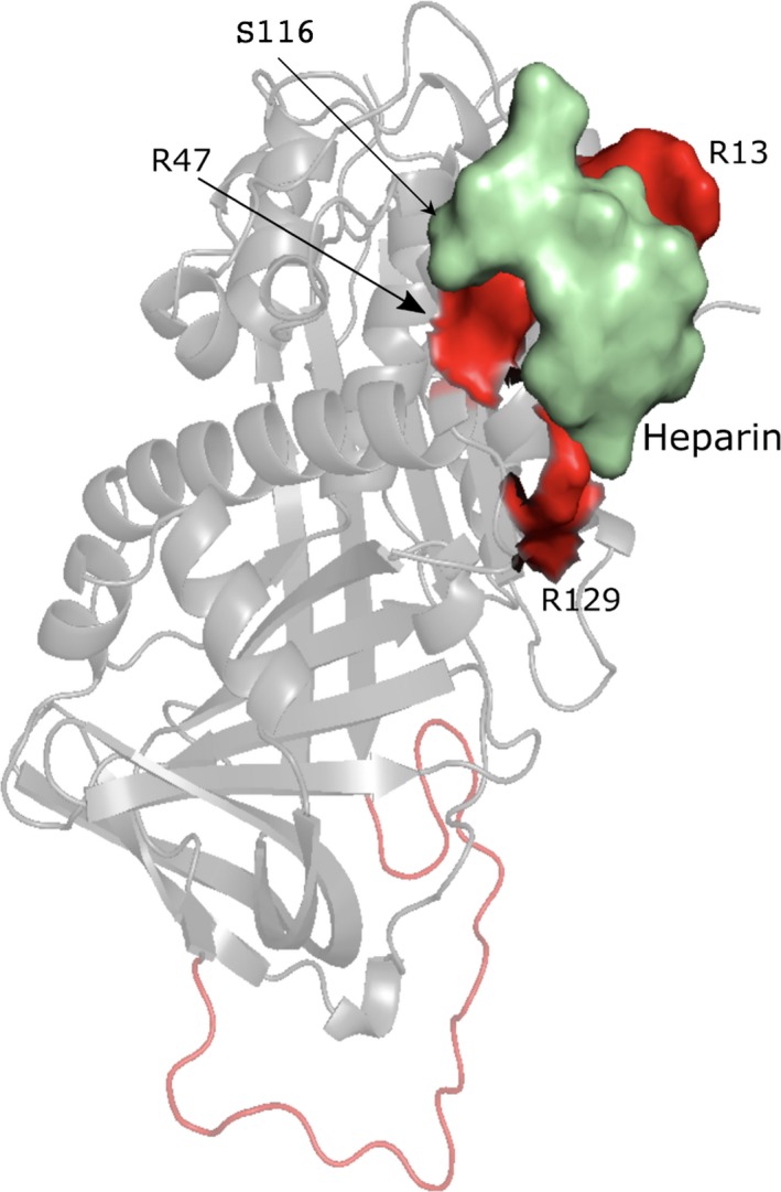 Figure 7