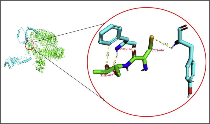 Fig. 1