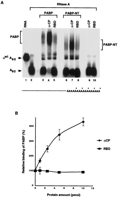 FIG. 5