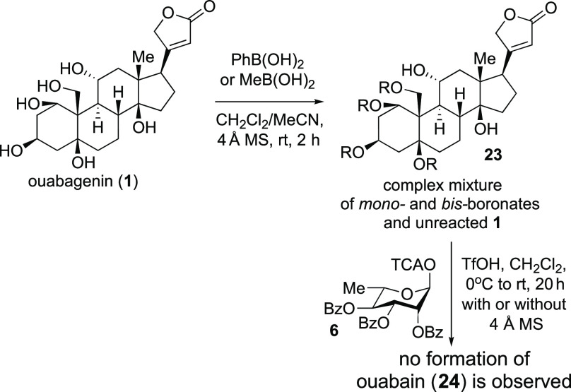 Scheme 4