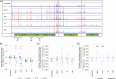 Fig. 3.