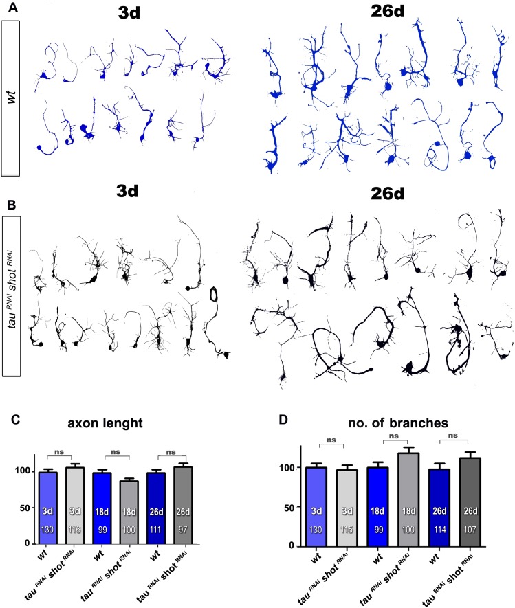 Figure 3—figure supplement 4.