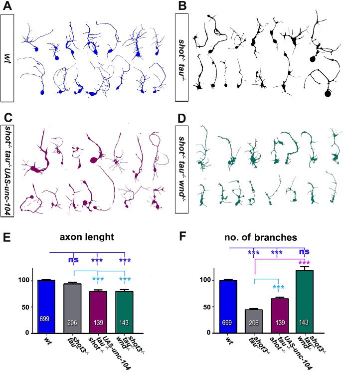 Figure 3—figure supplement 3.