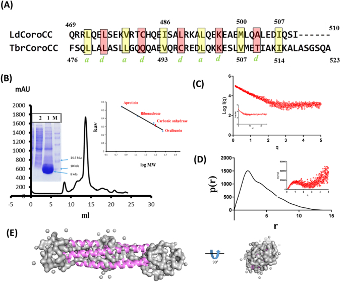 Fig. 1