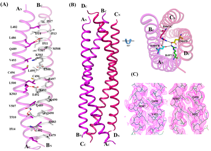 Fig. 2