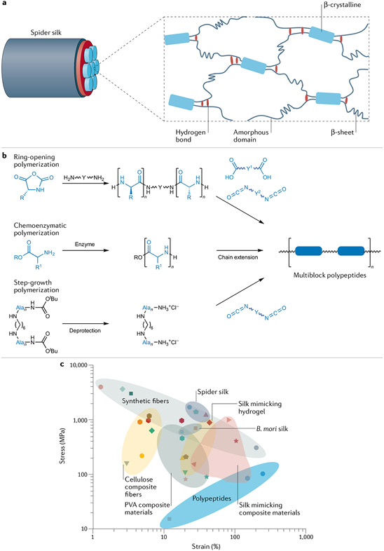 Fig. 3 ∣