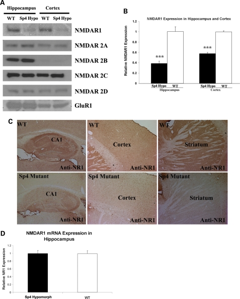 Figure 4.