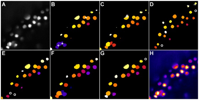 Figure 7