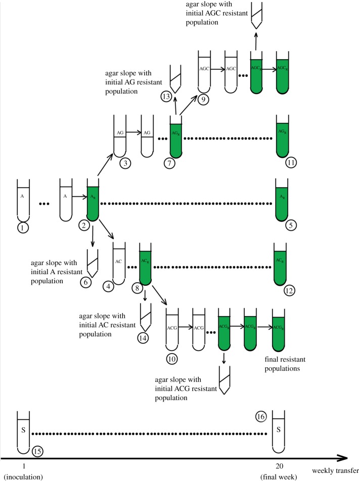 Figure 1.