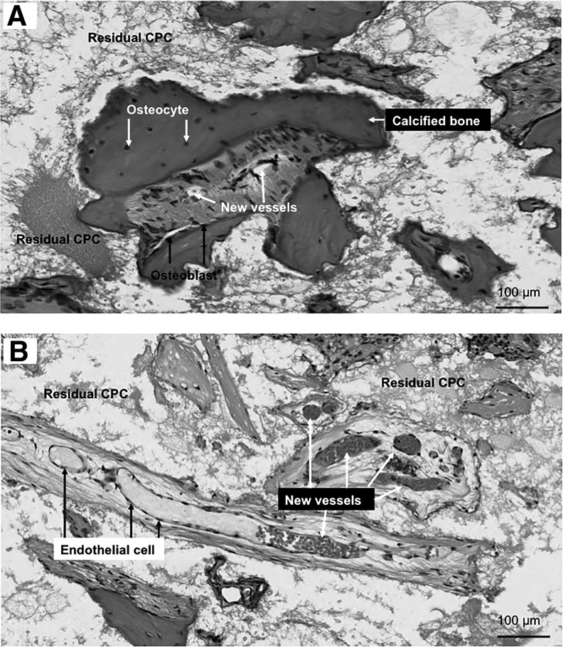 FIG. 5.