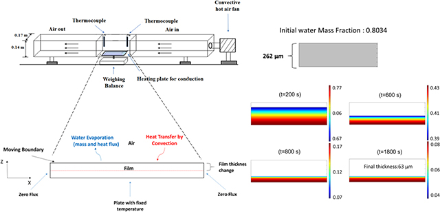 graphic file with name nihms-1523221-f0001.jpg