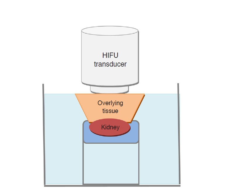 Fig 3.