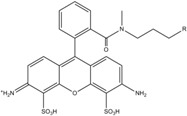 graphic file with name molecules-19-15824-i003.jpg