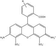 graphic file with name molecules-19-15824-i002.jpg