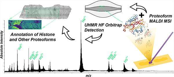 graphic file with name nihms-1881220-f0001.jpg