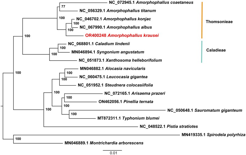 Figure 3.