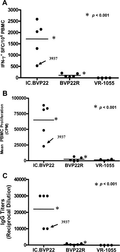 FIG. 6.