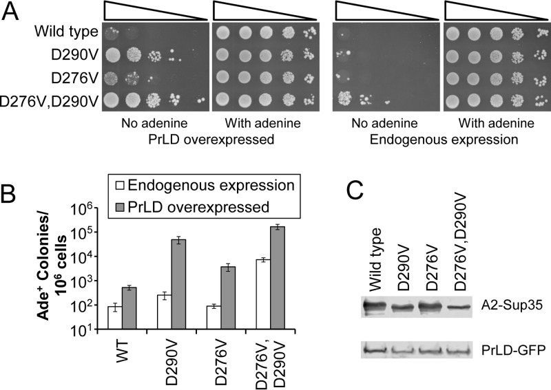 FIG 3