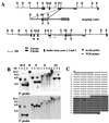 FIG. 1