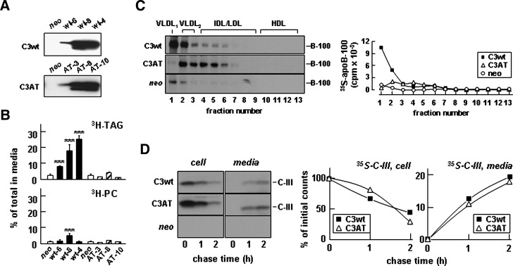 Fig. 9.