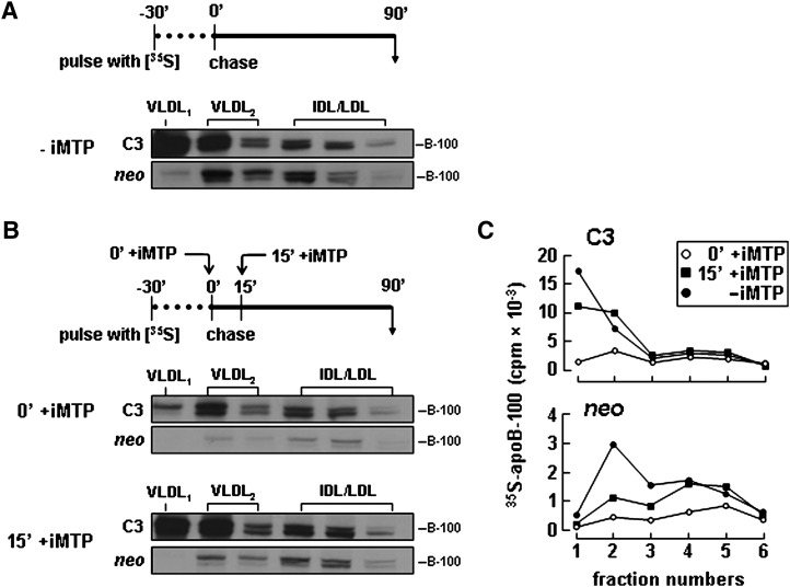 Fig. 8.