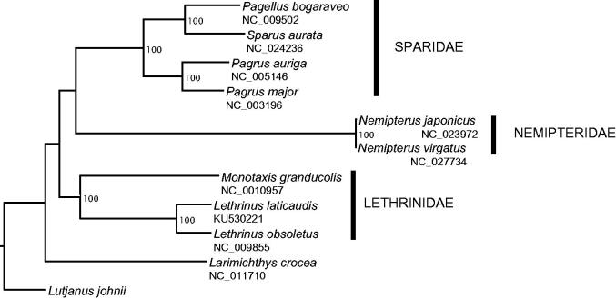 Figure 1.