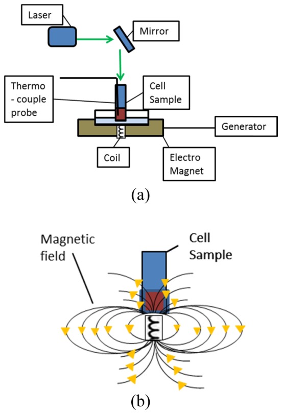 Fig. 3