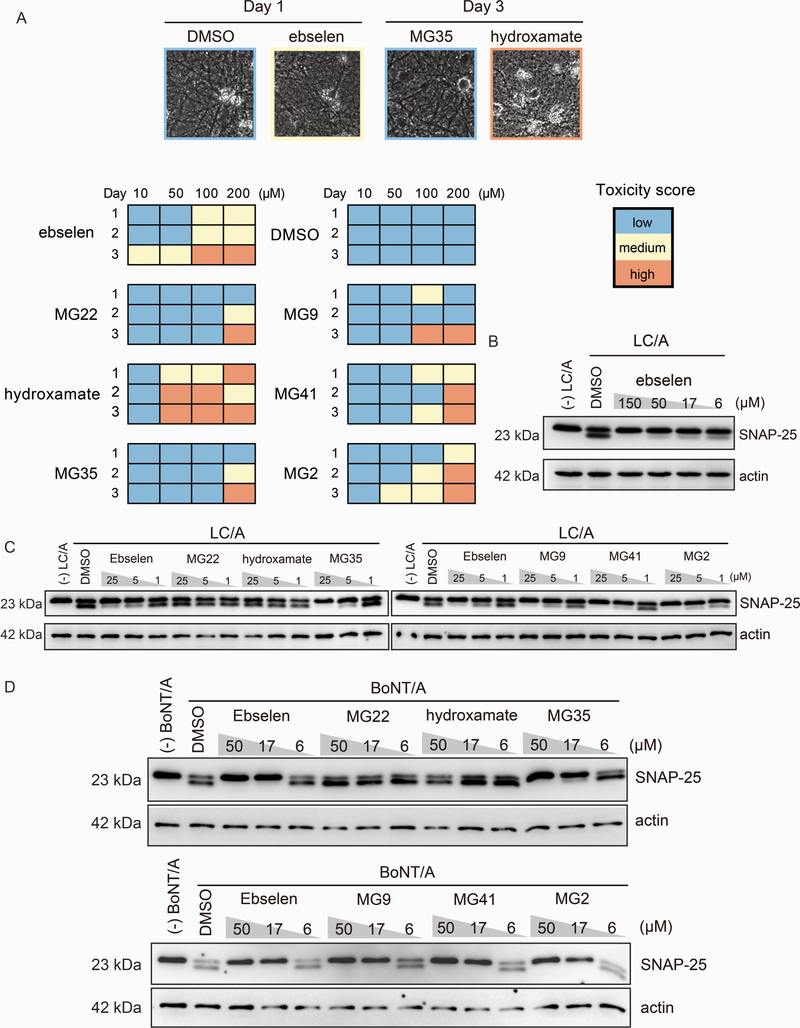 Figure 6: