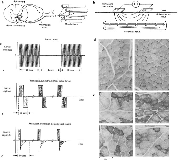 Fig. 14