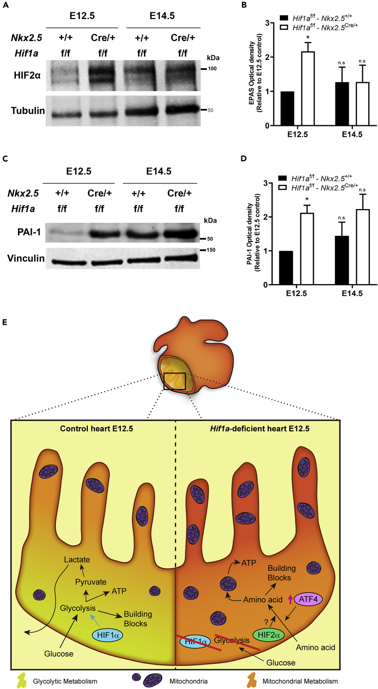 Figure 7