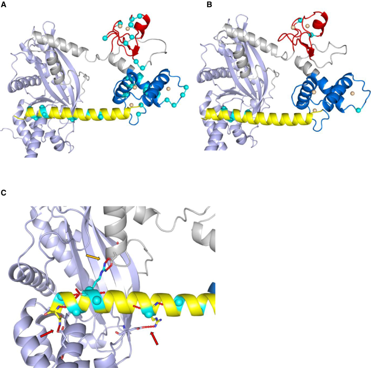 Figure 3