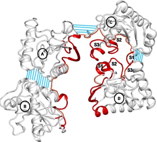 FIGURE 4.