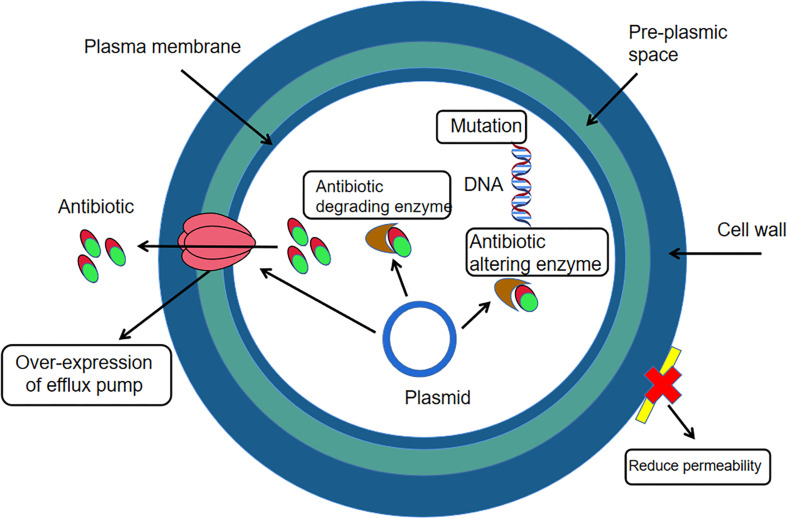 Figure 2