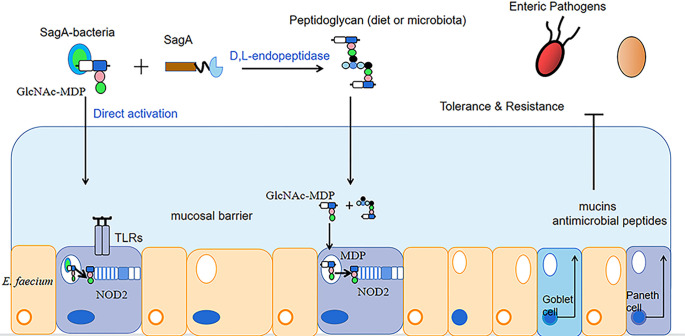 Figure 1