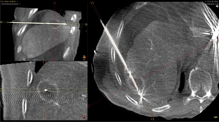 Fig. 7