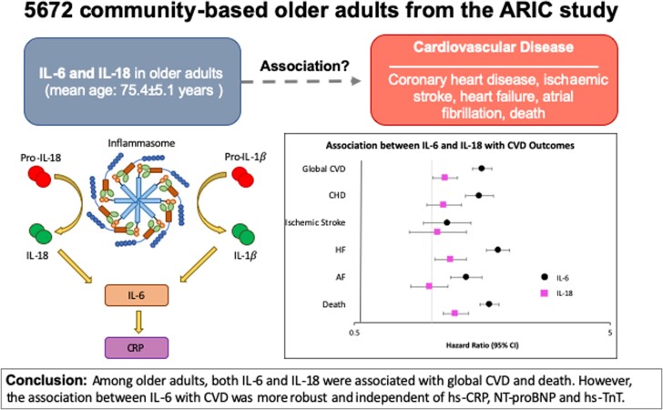 Graphical Abstract