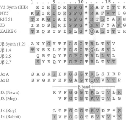 graphic file with name pnas01145-0103-a.jpg