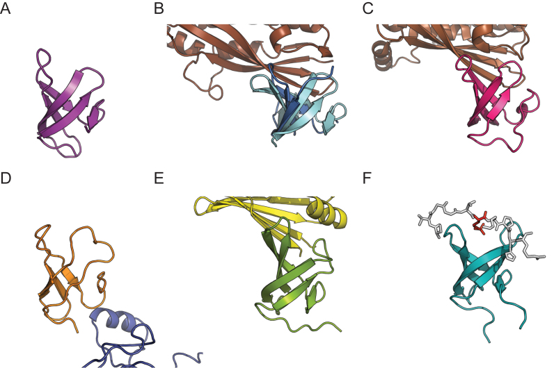 Figure 2.