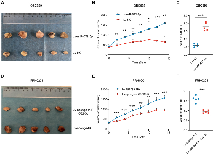 Figure 6